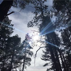 Meet your Posher, Payton